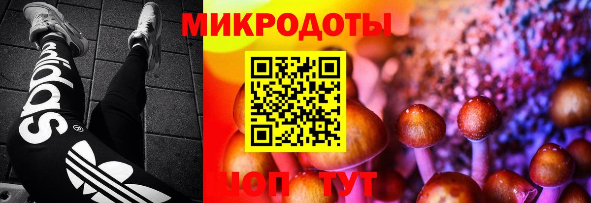 Галлюциногенные грибы GOLDEN TEACHER  Вход с VPN  купить наркотик  Ярцево 