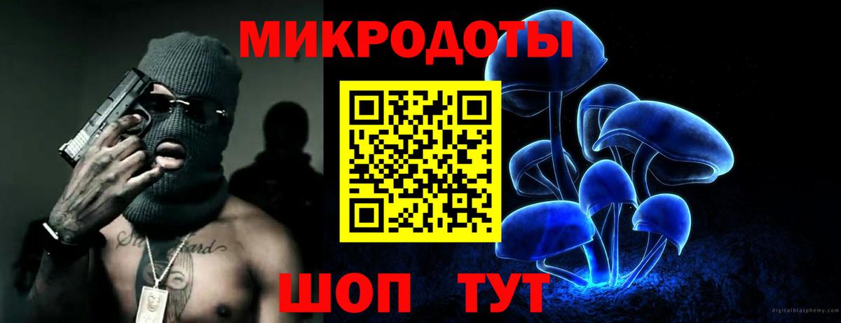 Псилоцибиновые грибы Psilocybine cubensis Ярцево